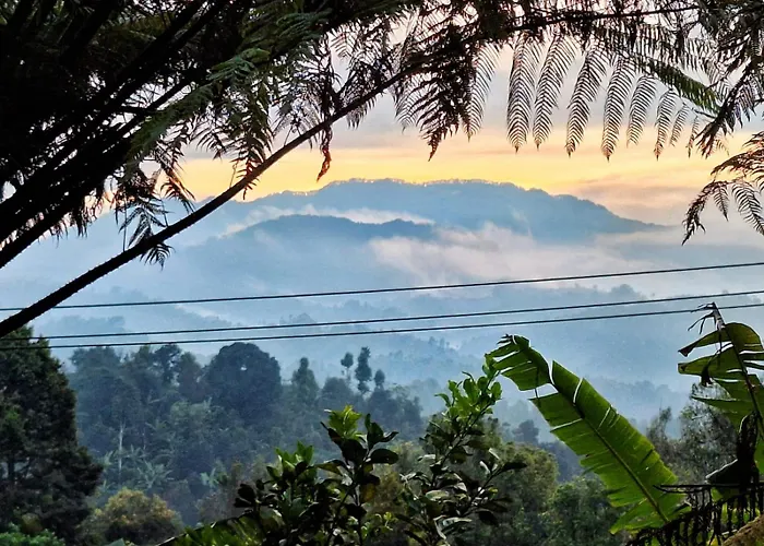 Sang Natha - Kopi Tiam & Agro Tjatur