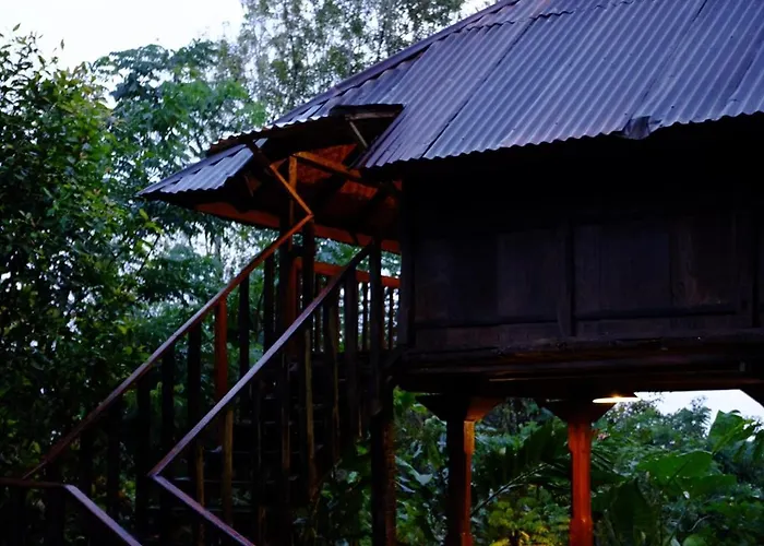 Sang Natha - Kopi Tiam & Agro