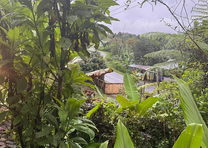 Sang Natha - Kopi Tiam & Agro