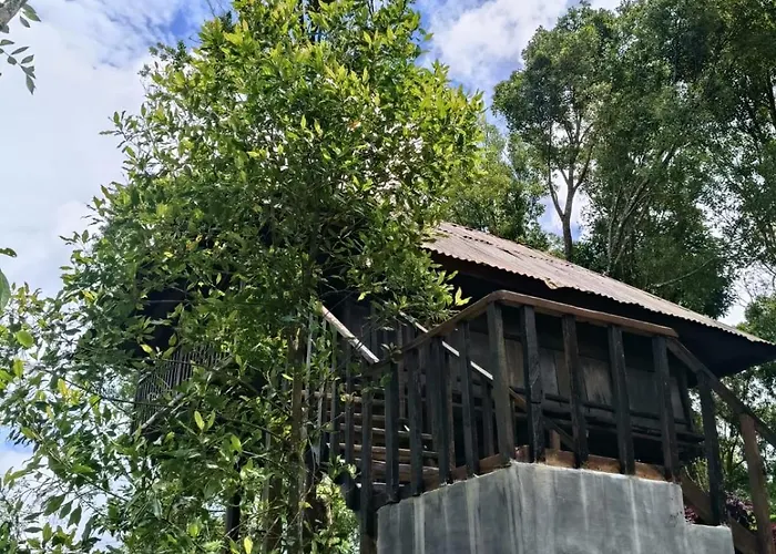 Sang Natha - Kopi Tiam & Agro * Tjatur
