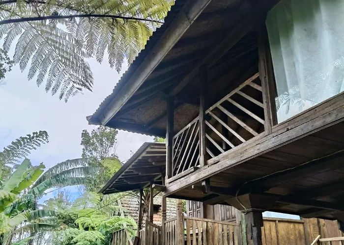 Sang Natha - Kopi Tiam & Agro *